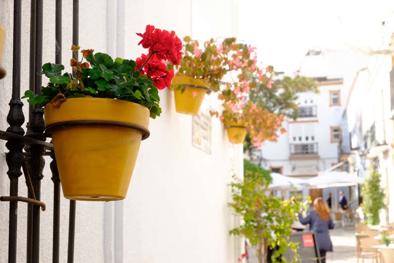 Flores no centro histórico de Estepona