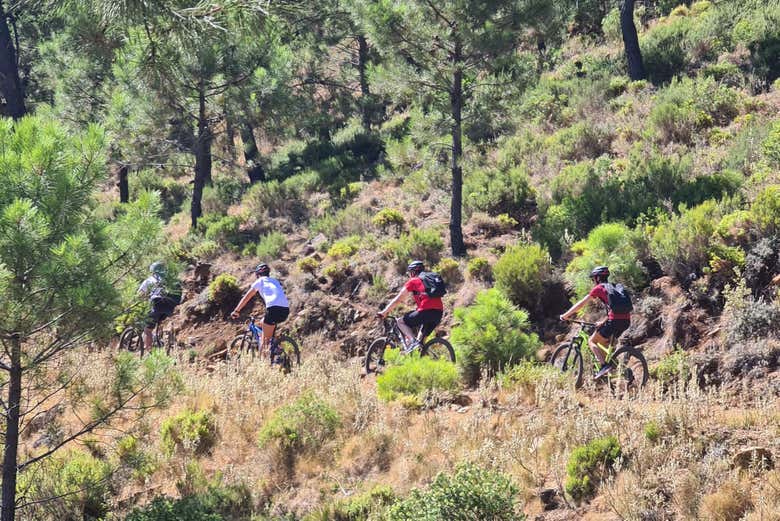 Respirando ar puro na Sierra Bermeja