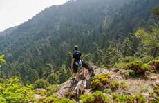 Senderismo por el Bosque de Pinsapos