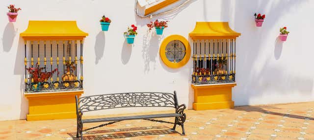 Tour privado por Estepona ¡Tú eliges!