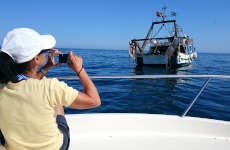 Tour por el puerto de Estepona + Paseo en barco