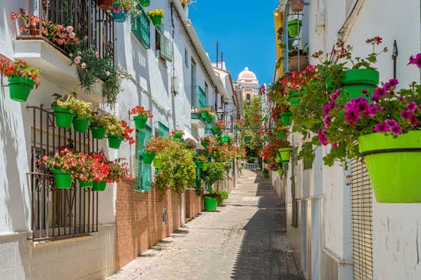 Visite guidée dans Estepona