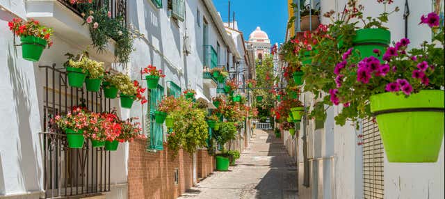 Visita guiada por Estepona