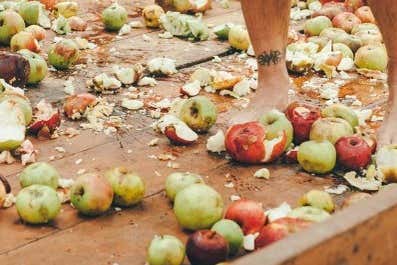 Lagar para hacer sidra