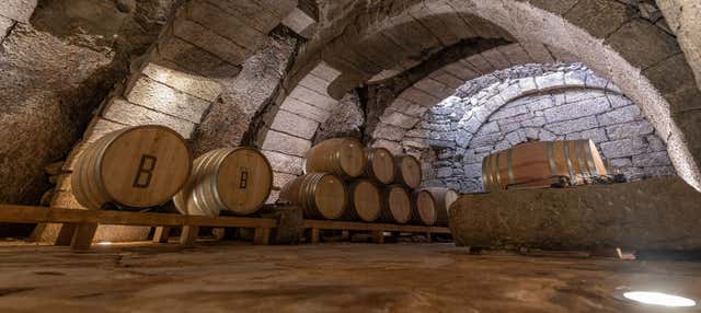 Visita a la bodega Bruneo
