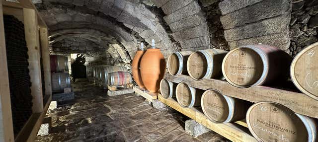 Visita a las bodegas subterráneas de Fermoselle