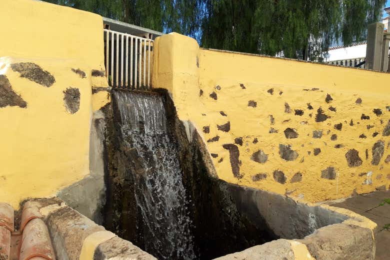 Canale d'irrigazione di Firgas