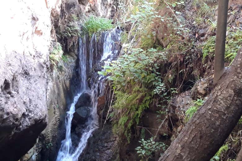 I corso d'acqua del canyon di Azuaje