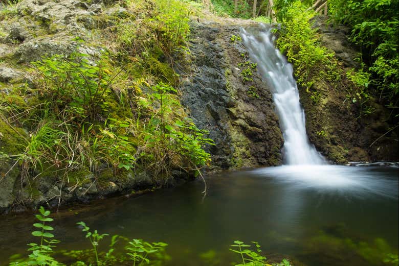 Paisajes del barranco de Azuaje