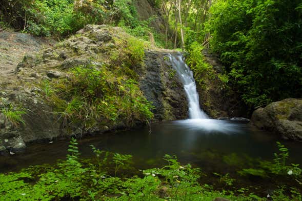 Senderismo por el barranco de Azuaje