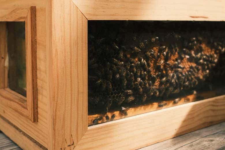 Una colmena de abejas