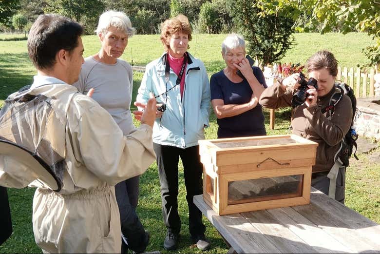 Viendo la colmena acompañados de un apicultor