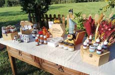 Visita a una granja de abejas con degustación de miel