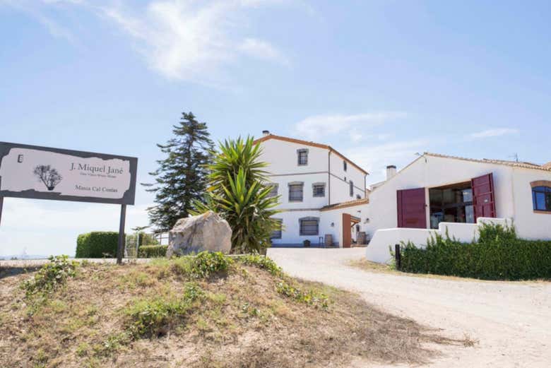 Entrada a la Bodega Miquel Jané