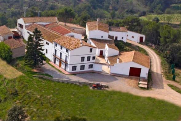 Visita a la Bodega Miquel Jané