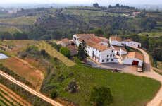 Visite du domaine Miquel Jané