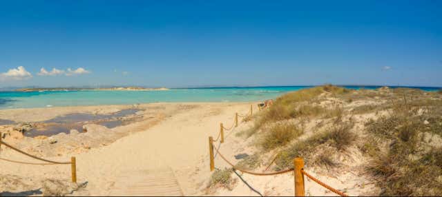 Excursión a la isla de Espalmador