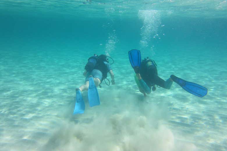 Scuba diving in Formentera's waters