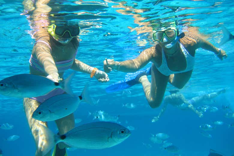 Snorkeling à Cala del Moro