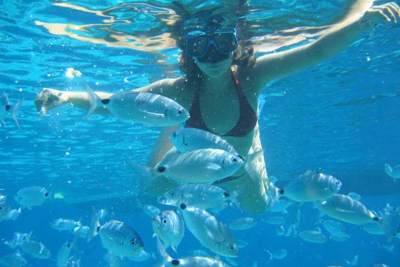 Faites du snorkeling