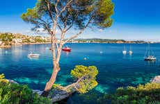 Skippered Yacht Charter in Fornells