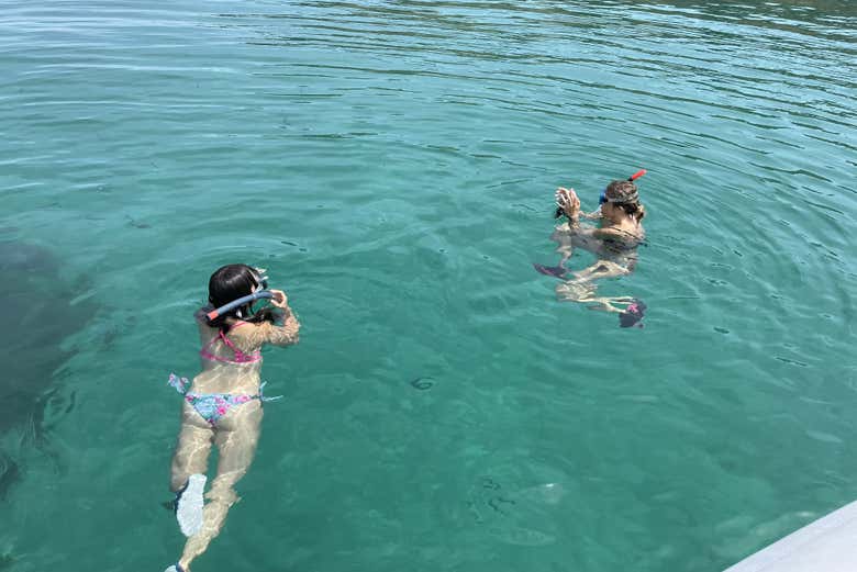 Vous pourrez faire du snorkeling dans des eaux cristallines