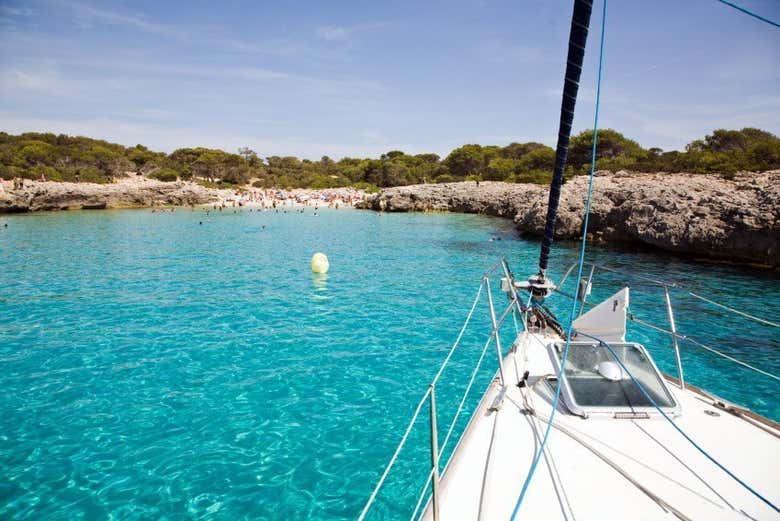 Discover the coves