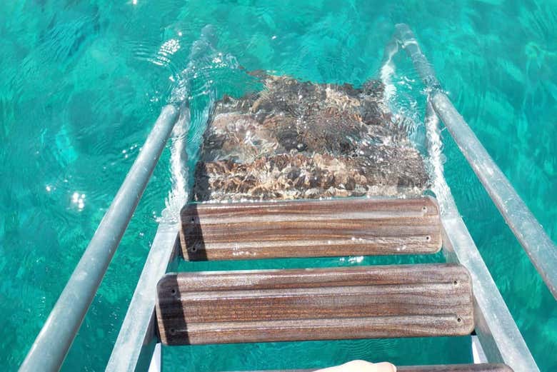 Escaliers pour monter et descendre dans l'eau