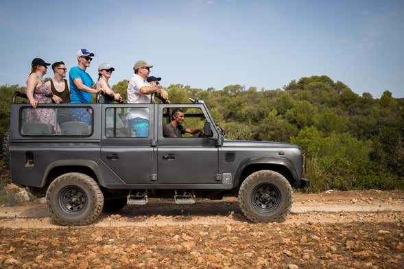 Tour panorámico al atardecer por Menorca