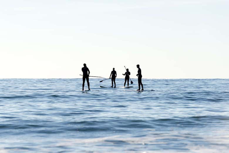 Enjoying the paddle surf experience