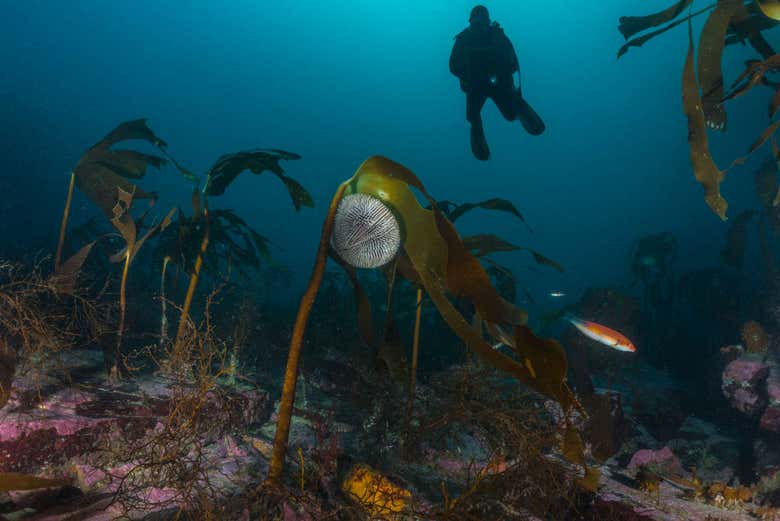Depths of the Cantabrian Sea