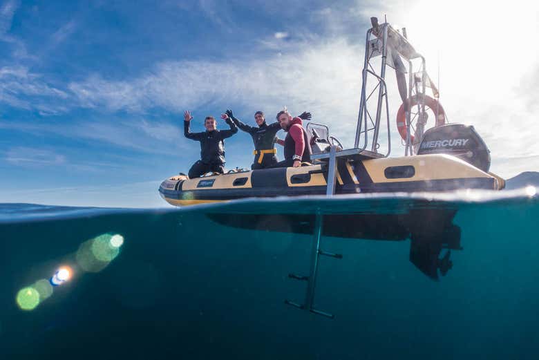 Transport for the experience