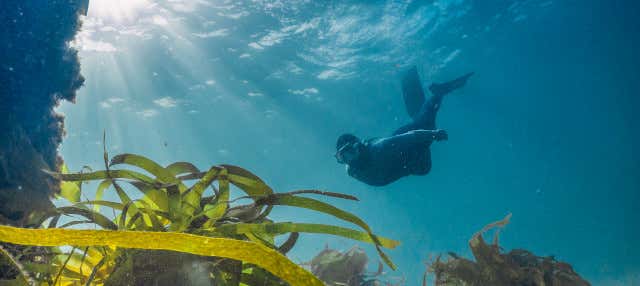 Snorkel em Foz