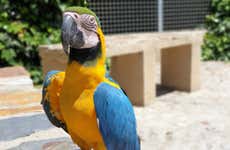 Ingresso do zoológico La Era de las Aves