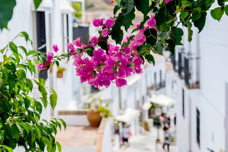 Recorriendo las calles de Frigiliana