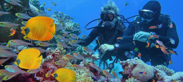 Bautismo de buceo en Fuencaliente