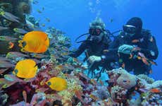  Bautismo de buceo en Fuencaliente
