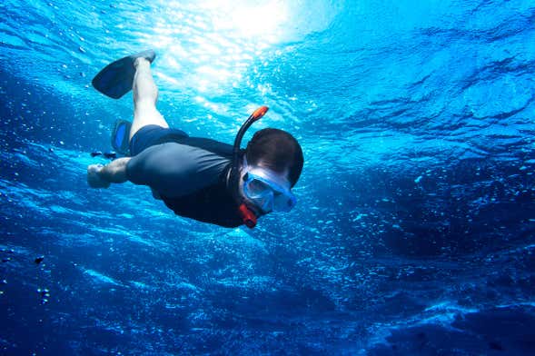 Fuencaliente Snorkelling Activity