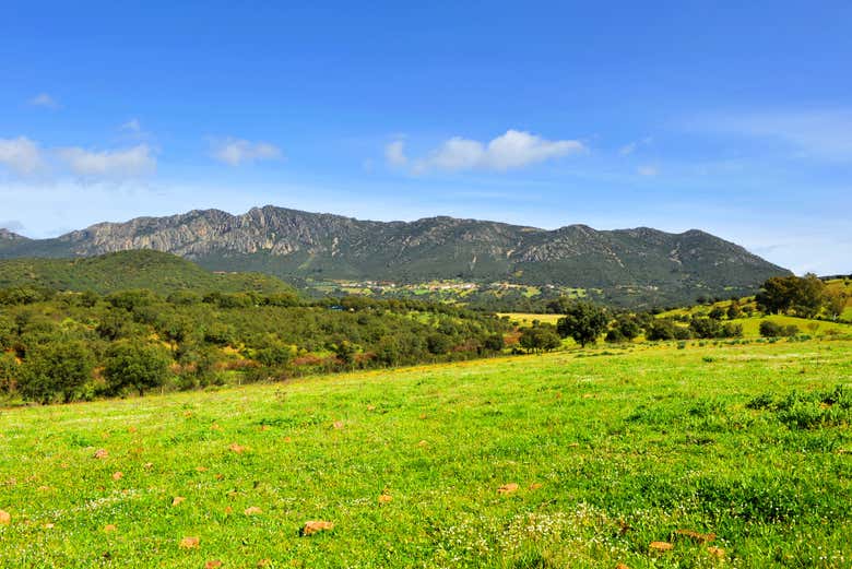 Alrededores de Fuencaliente 