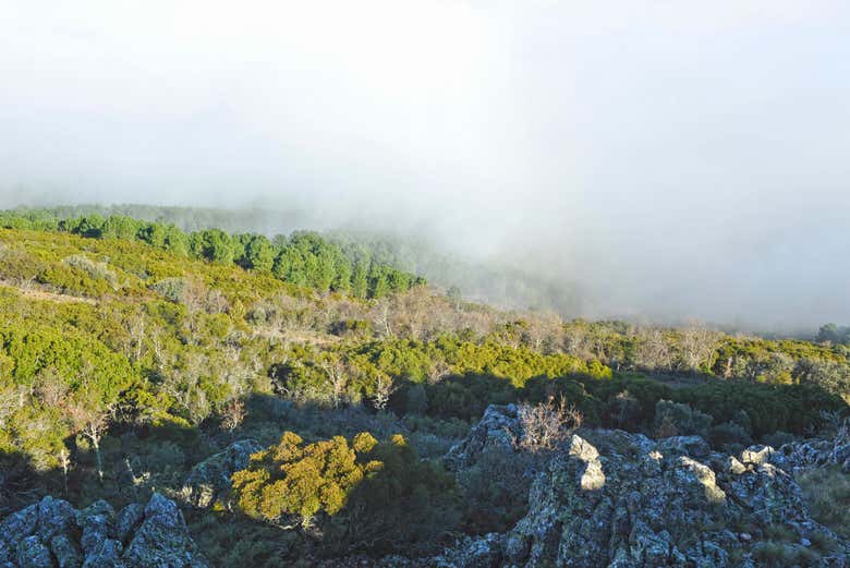 Parque Natural del Valle de Alcudia y Sierra Madrona