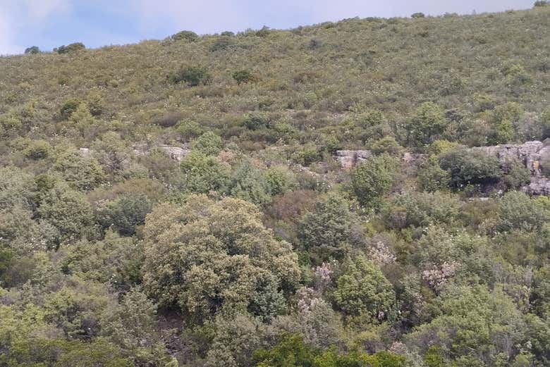 Los impresionantes paisajes que veremos durante la ruta