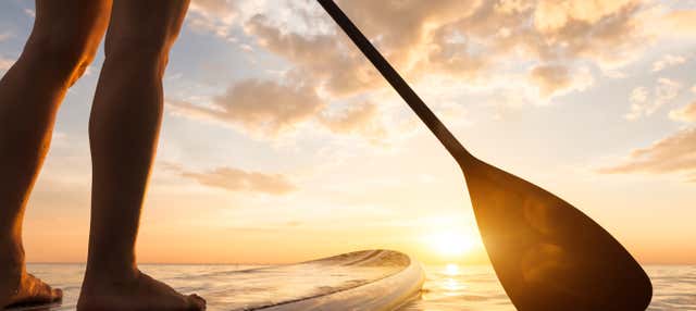 Paddle Board Rental