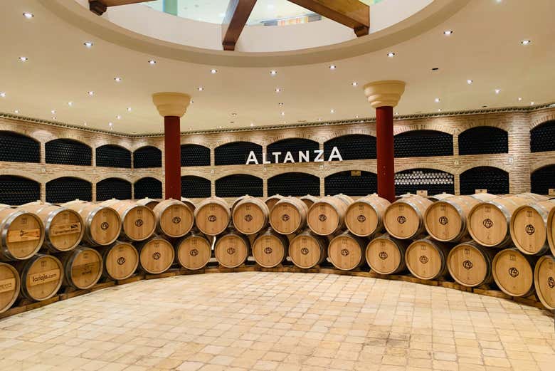 Explore the magic of Altanza
