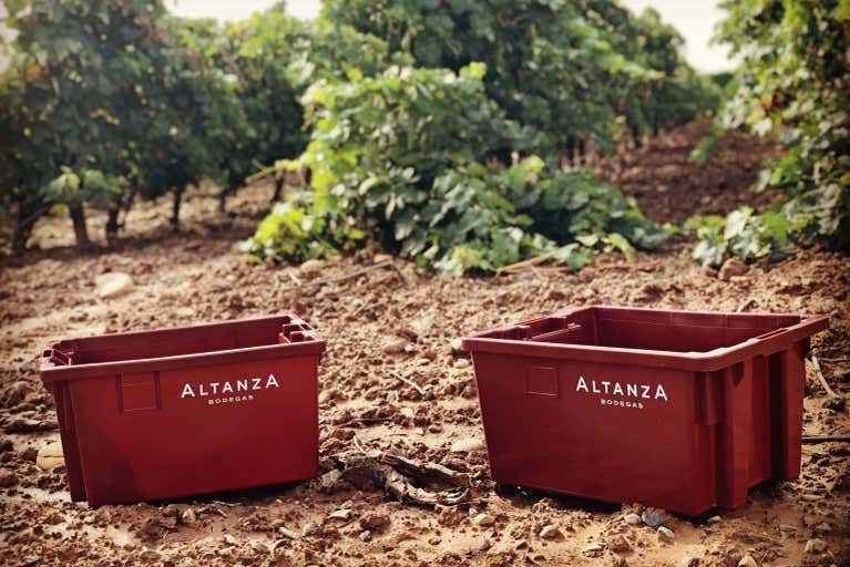 Casse per la vendemmia