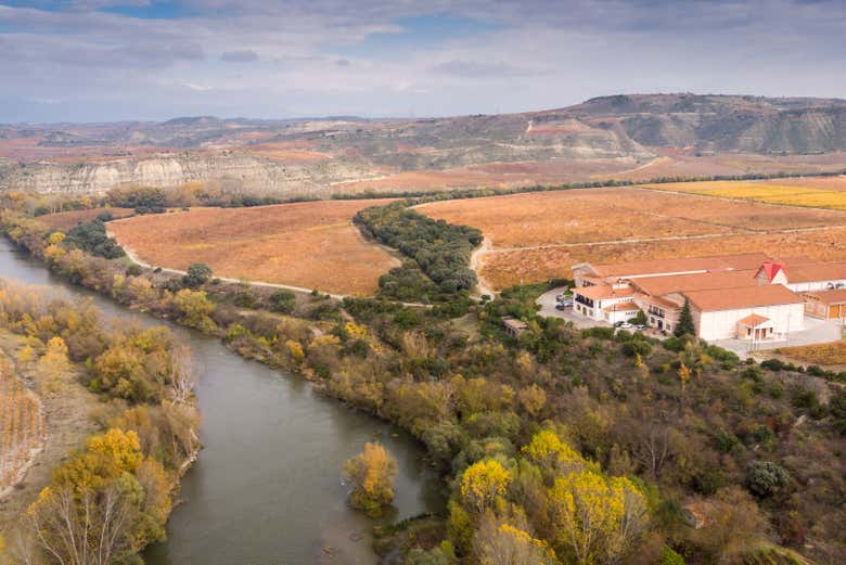 Panorâmica da Finca Valpiedra
