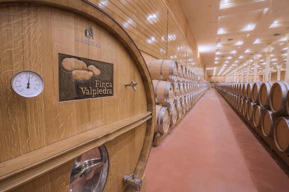 Visite du domaine de Valpiedra