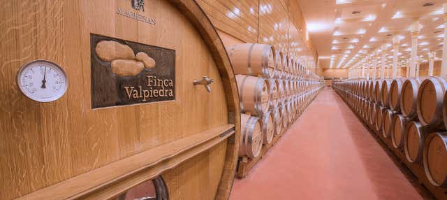 Visita a la finca Valpiedra