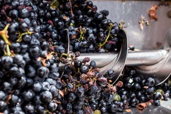 Machines et installations d'Eme Bodegas
