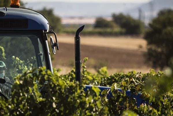 Visite du domaine Eme Bodegas