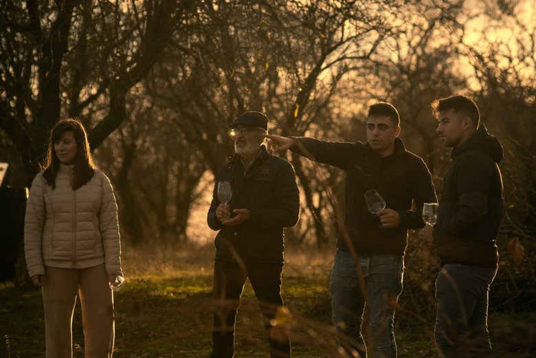 Œnotourisme dans le vignoble